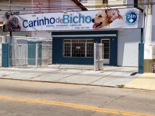 Veterinary Clinic Soft Affection - Unit Vila Ema em São José dos Campos - SP