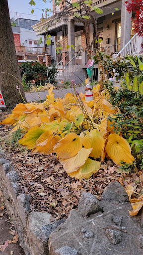 Park «Crispus Attucks Park», reviews and photos, 23 U St NW, Washington, DC 20001, USA