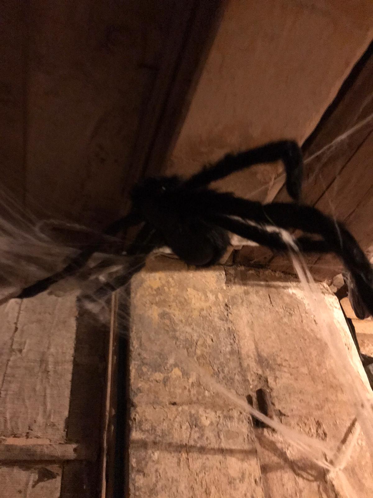 Photo n° 12 de l'avis de olem.7 fait le 30/10/2023 à 17:10
