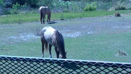 Tourist Attraction «Forever Florida», reviews and photos, 4755 North Kenansville Road, St Cloud, FL 34773, USA