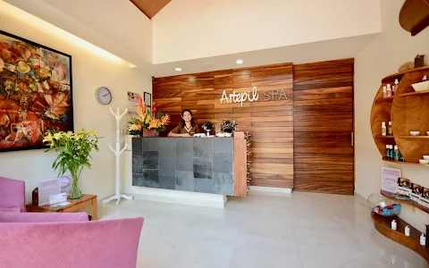 Artepil Spa (Marina Vallarta) image