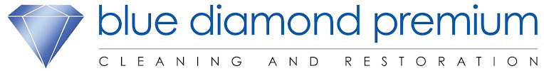 Blue Diamond Premium Cleaning and Restoration - Photo 8 - Car repair in , Salt Lake City