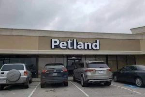 Petland Katy image