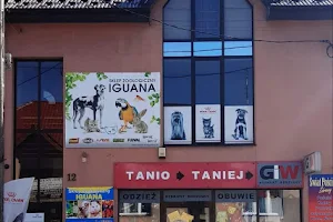 Iguana. Sklep zologiczno - wędkarski image