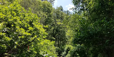 Mashpee National Wildlife Refuge