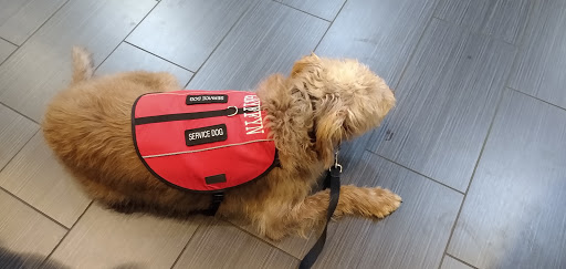 Movie Theater «AMC Parkway Pointe 15», reviews and photos, 3101 Cobb Pkwy SE #201, Atlanta, GA 30339, USA