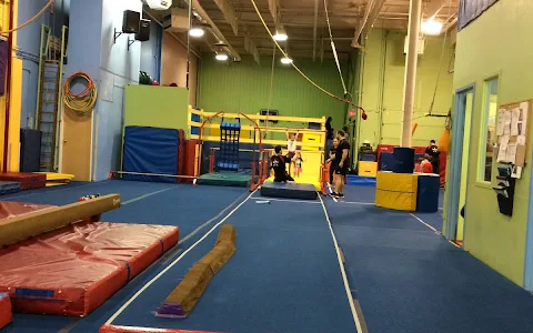 Starr Gymnastics & Parkour image