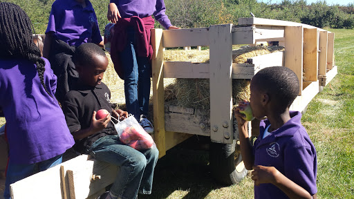 Orchard «George Hill Orchards», reviews and photos, 582 George Hill Rd, South Lancaster, MA 01561, USA