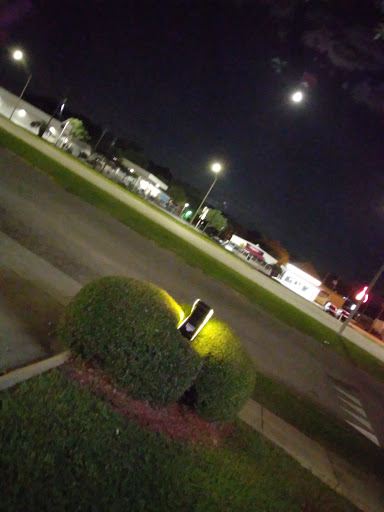 Fast Food Restaurant «Sonic Drive-In», reviews and photos, 3944 Government Blvd, Mobile, AL 36693, USA