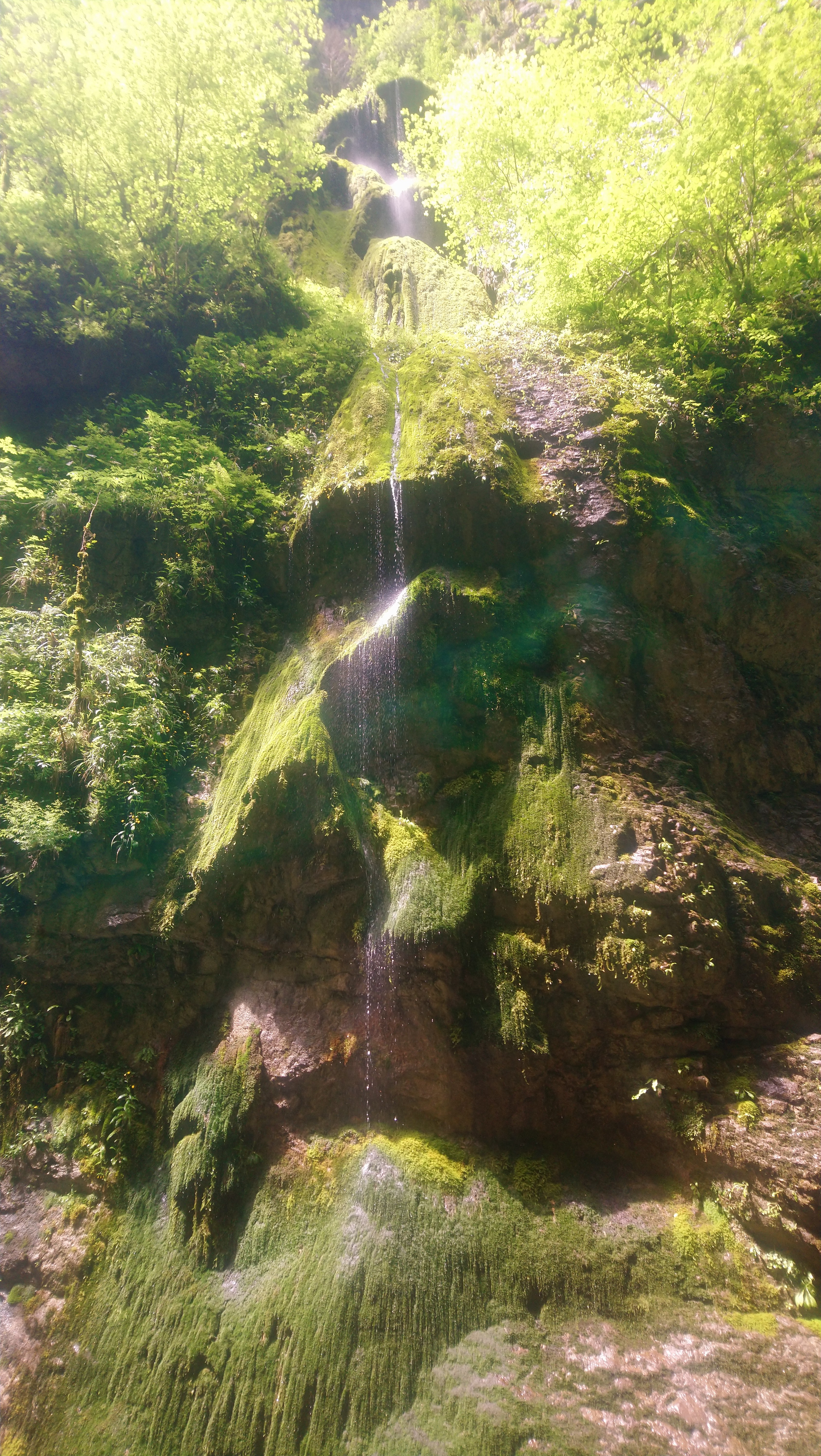 Photo n° 2 de l'avis de sandrine.a fait le 11/07/2019 à 11:54