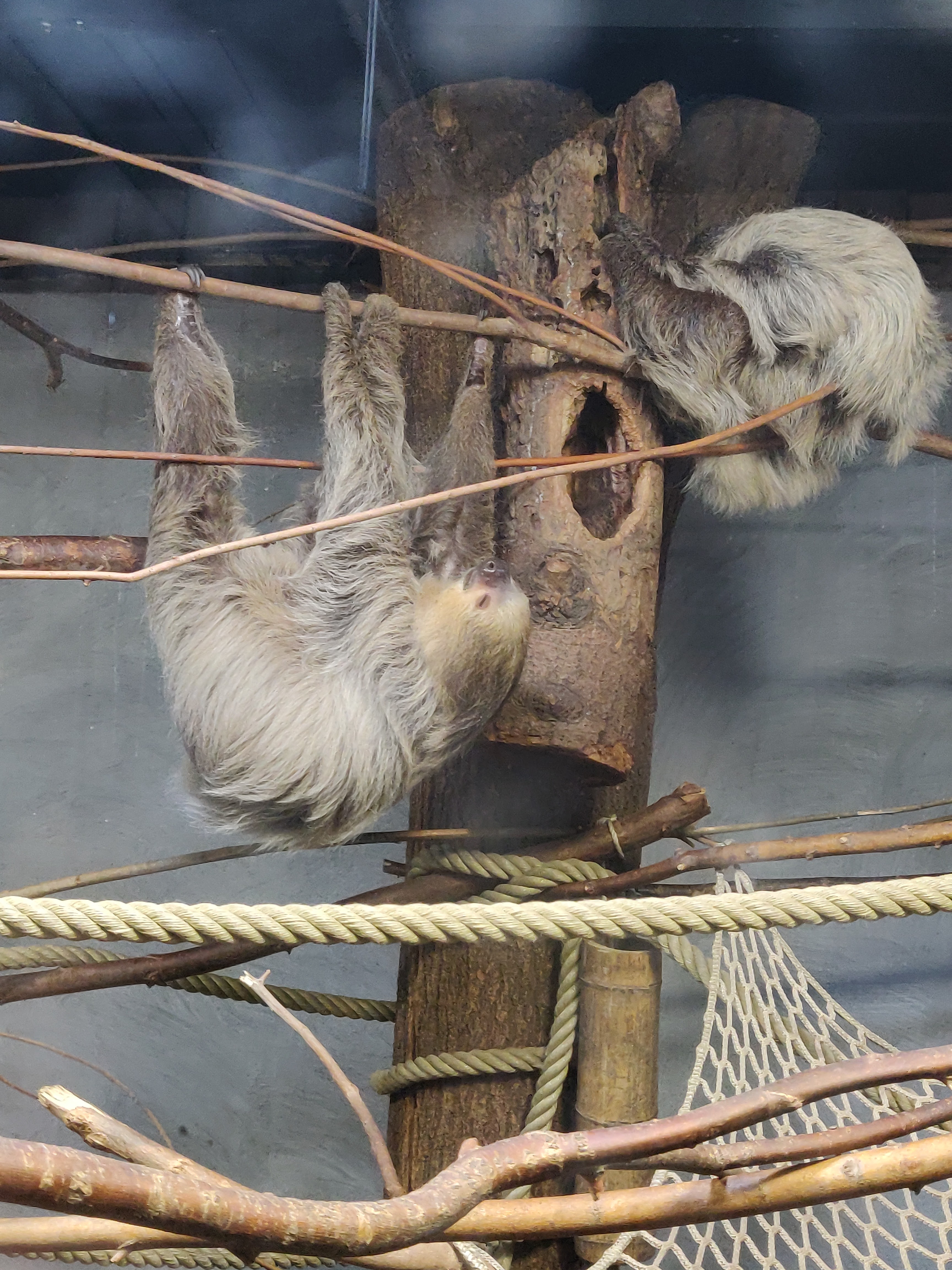 Photo n° 22 de l'avis de Amélie.e fait le 31/08/2019 à 17:39