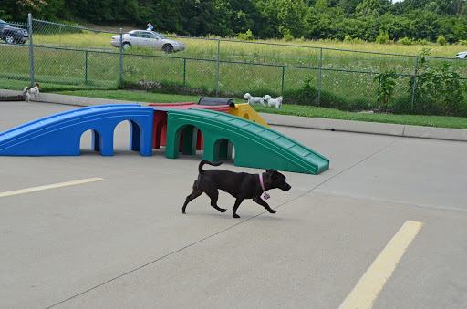 Pet Boarding Service «Pet Palace», reviews and photos, 2803 Trough Springs Rd, Clarksville, TN 37043, USA