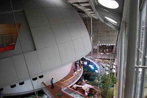 Morrison Planetarium