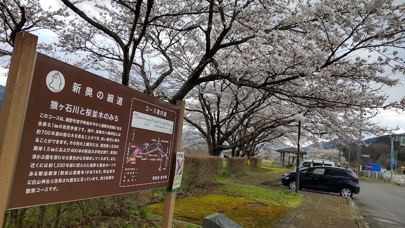 猿ヶ石川の桜並木