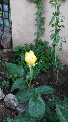 Banquet Hall «Lawlor Events Center», reviews and photos, 1664 N Virginia St, Reno, NV 89557, USA