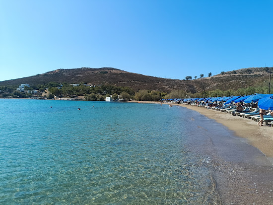 Paralia Agriolivado