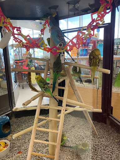 Pet Supply Store «Petco Animal Supplies», reviews and photos, 210 Fortune Blvd, Milford, MA 01757, USA