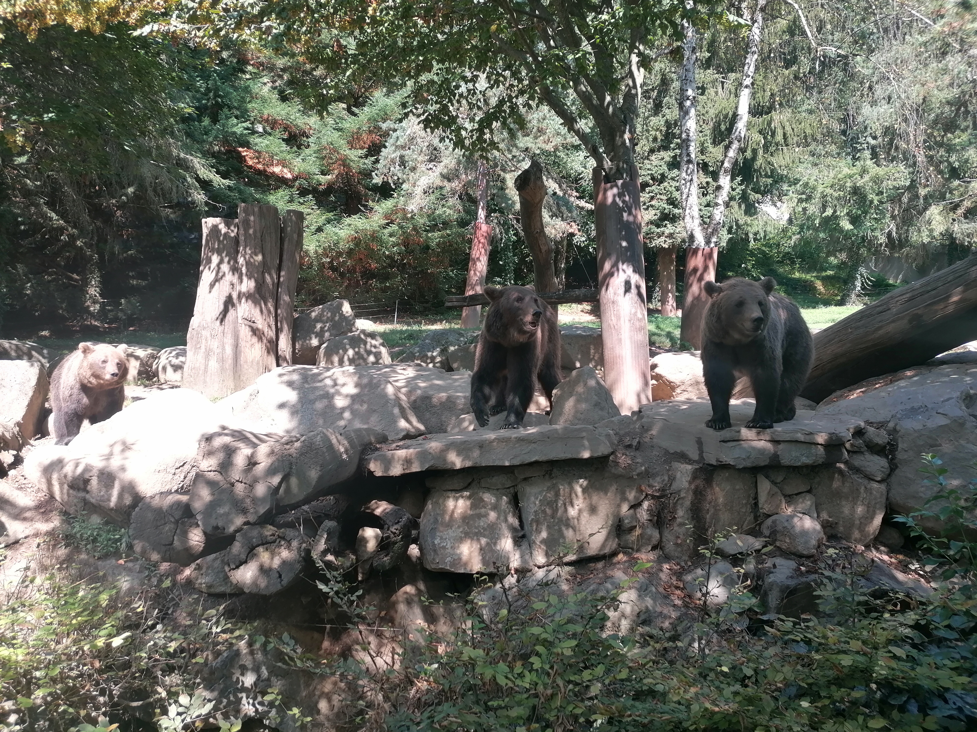 Photo n° 6 de l'avis de Gilles.. fait le 23/08/2023 à 12:57