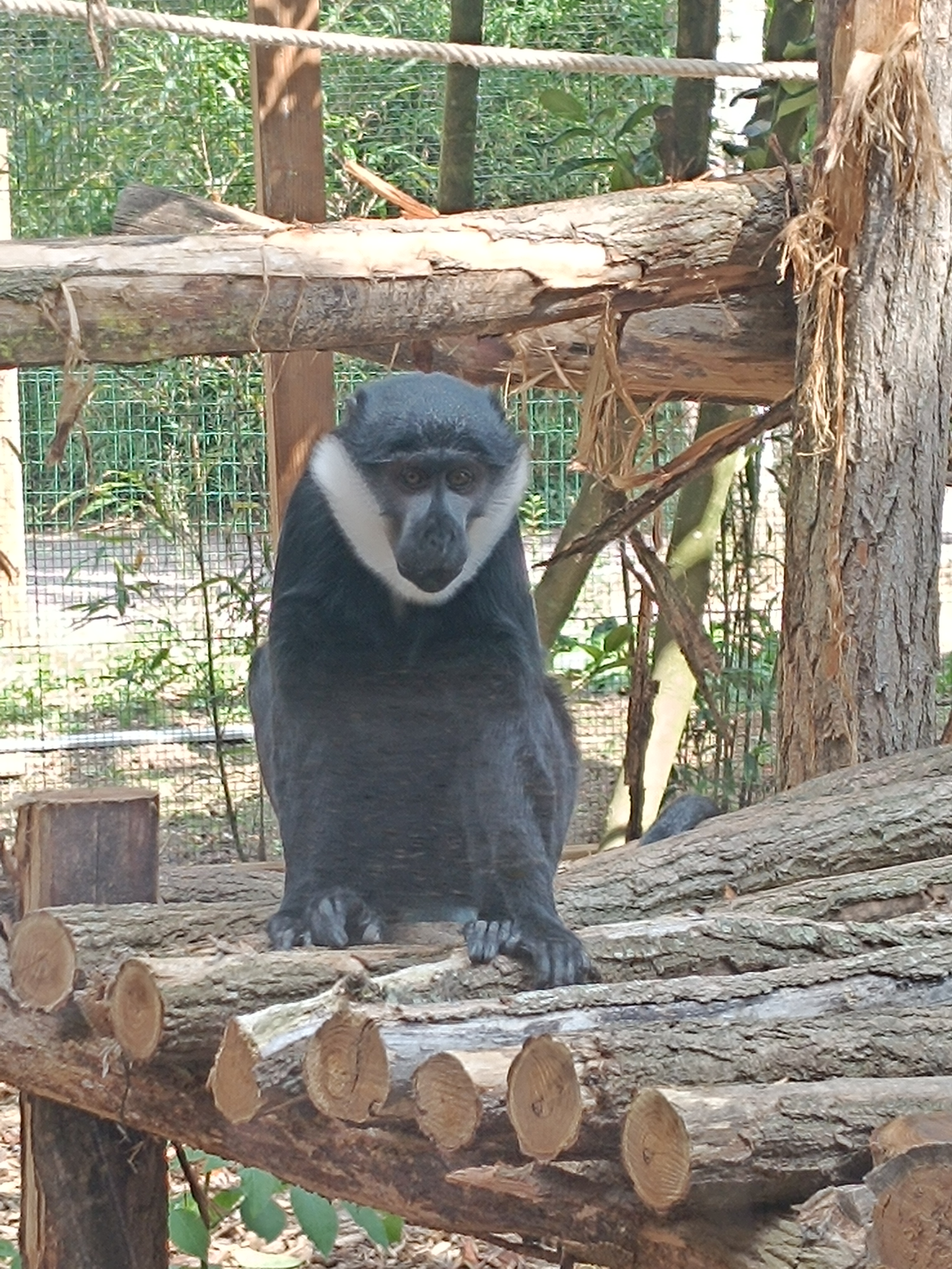 Photo n° 1 de l'avis de Ghislaine.e fait le 20/08/2023 à 14:06