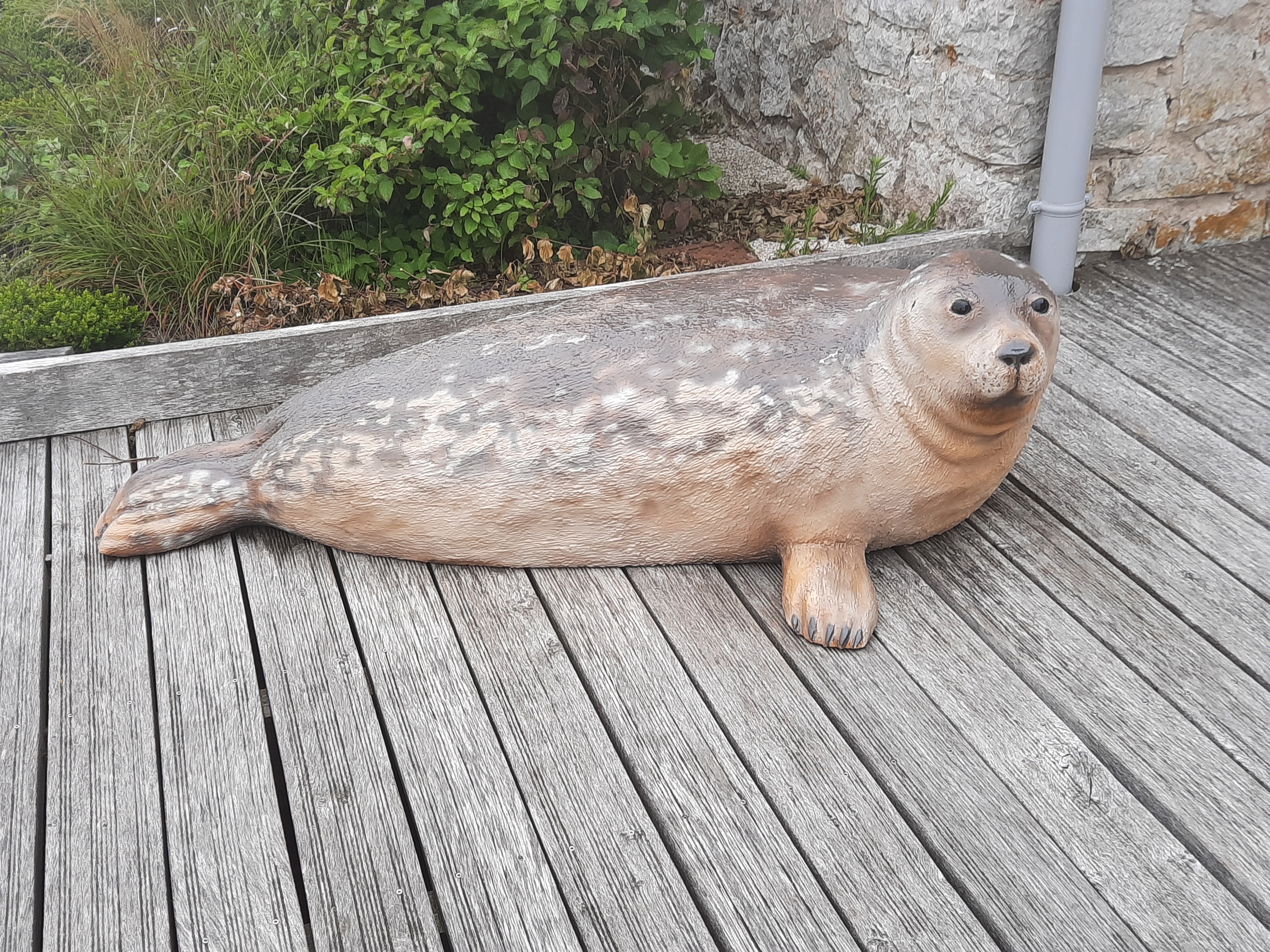 Photo n° 1 de l'avis de Isabelle. fait le 26/07/2020 à 00:09
