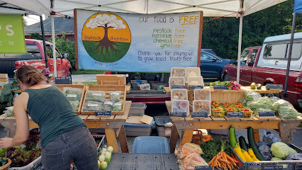 Bellaire Farmer's Market