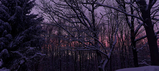 Computer Repair Service «Reliable Computer Repair», reviews and photos, 13 Brook St, Seymour, CT 06483, USA