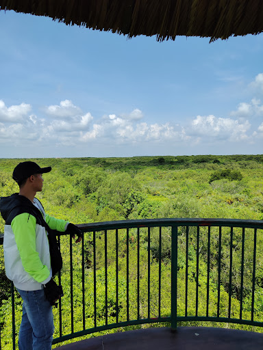 Top 20 cửa hàng play Huyện Cần Giờ Hồ Chí Minh 2022