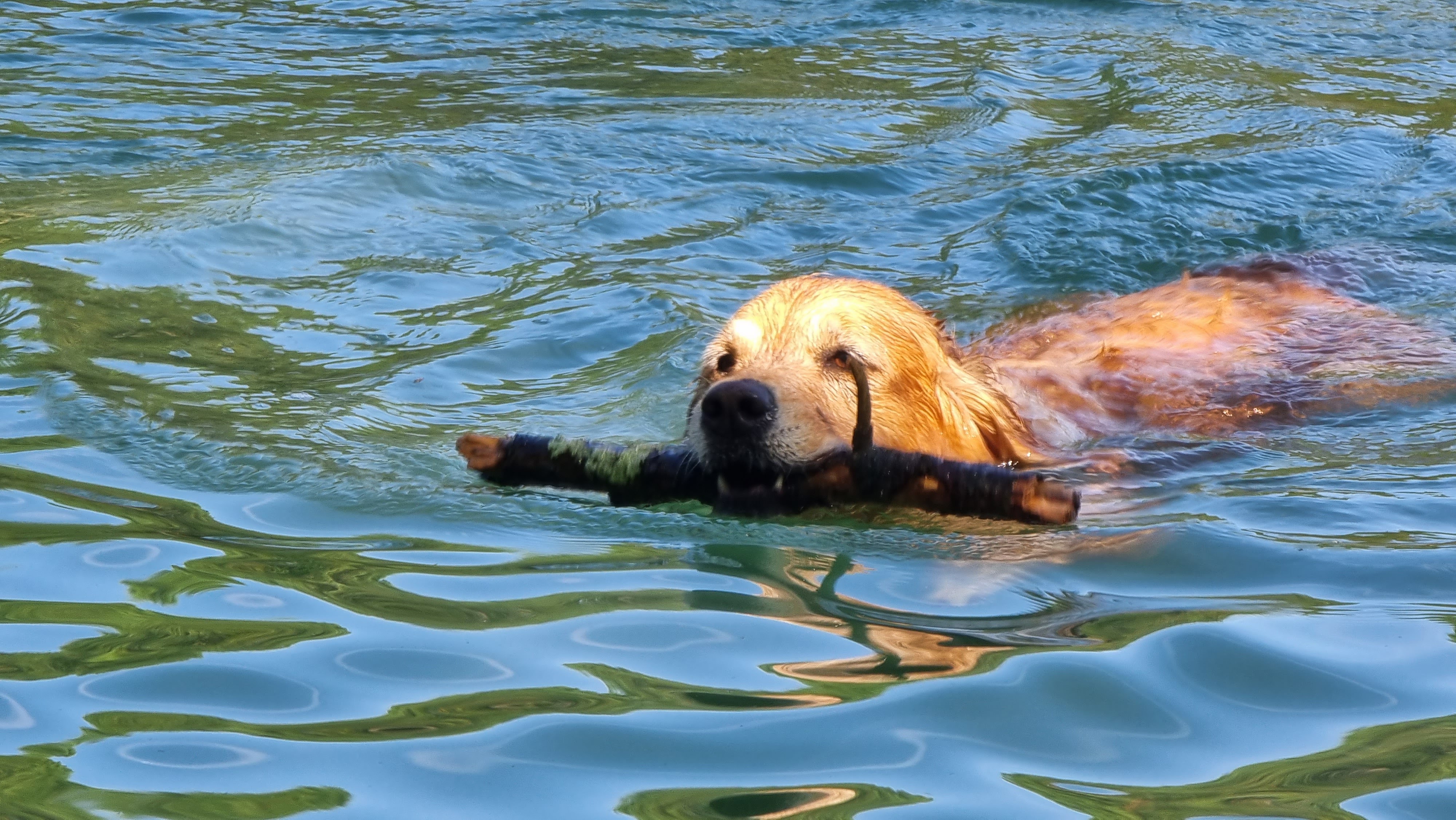 Photo n° 1 de l'avis de Cyril.h fait le 31/08/2022 à 18:57