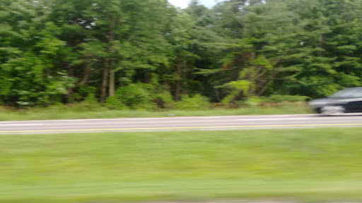Nature Preserve «Centennial Woods Natural Area», reviews and photos, I-89, Burlington, VT 05401, USA