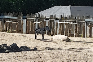 København Zoo