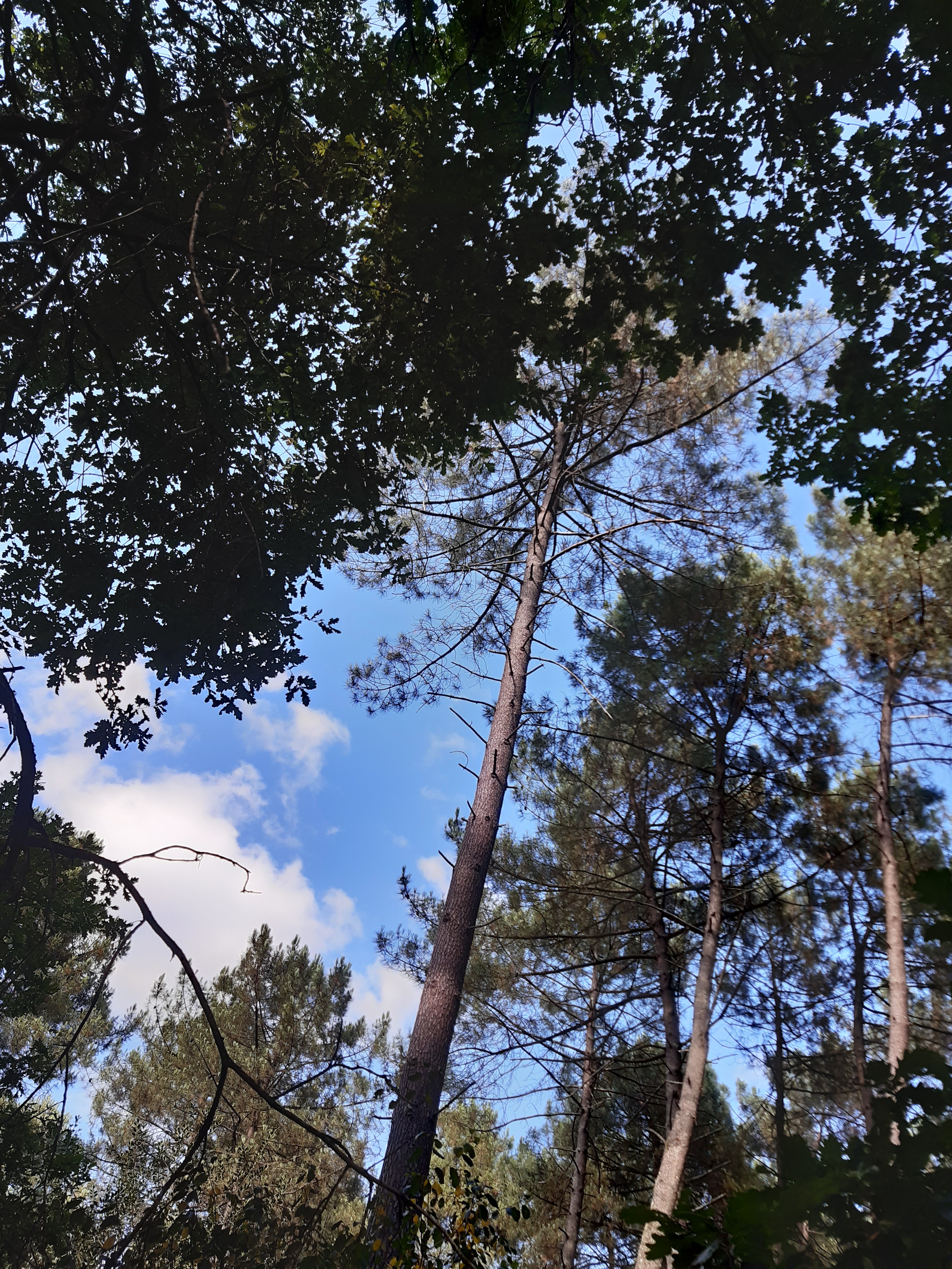 Photo n° 2 de l'avis de Jean.a fait le 20/07/2022 à 21:07