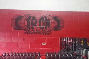 Iron Aesthetics training studio