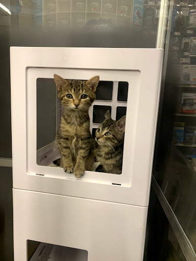 Pet Supply Store «Pet Supplies Plus», reviews and photos, 375 Paterson Ave #105, Wallington, NJ 07057, USA