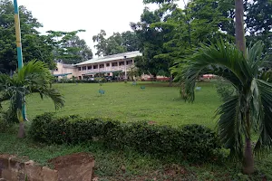 Forestry Research Institute of Nigeria image