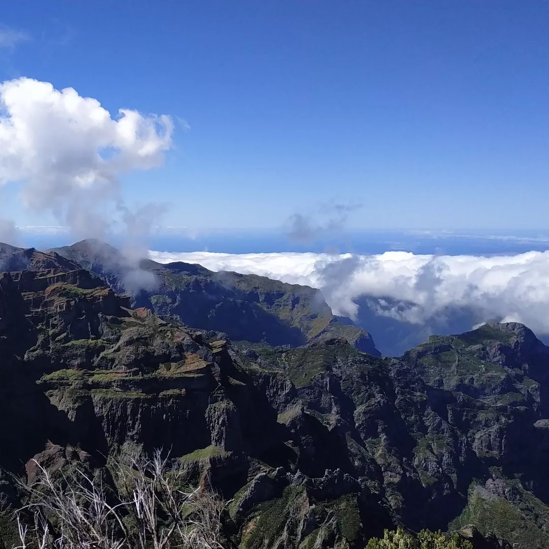 Photo n° 5 de l'avis de Helene.o fait le 23/05/2022 à 18:49
