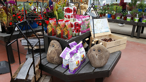 Garden Center «Lowes Greenhouse, Florist & Gift Shop», reviews and photos, 16540 Chillicothe Rd, Chagrin Falls, OH 44023, USA
