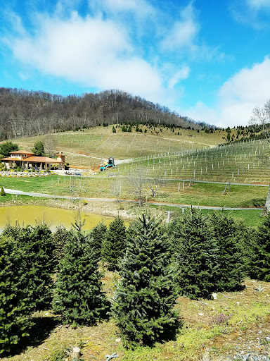 Vineyard «Linville Falls Winery», reviews and photos, 9557 Linville Falls Hwy, Newland, NC 28657, USA