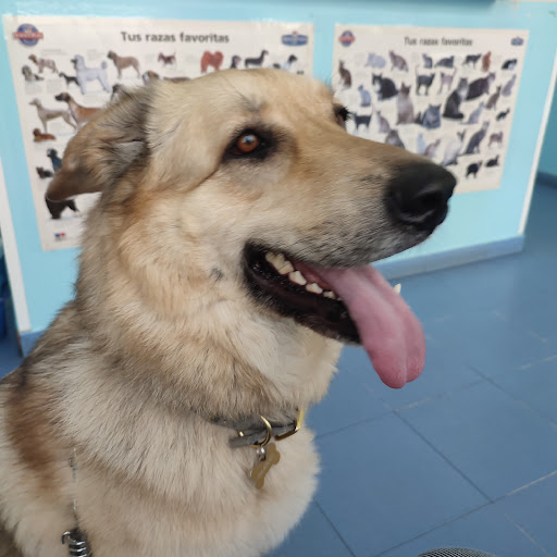 Clínica y Tienda Veterinaria Pino Montano en Sevilla