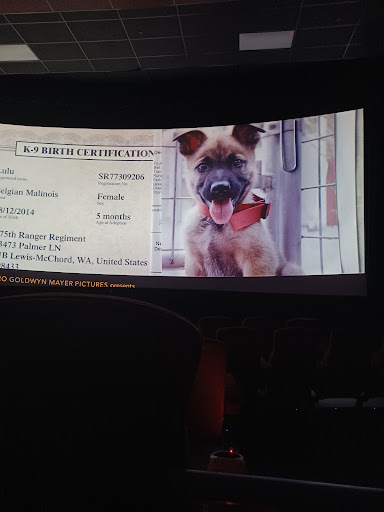 Movie Theater «AMC Classic South Bend 16», reviews and photos, 450 W Chippewa Ave, South Bend, IN 46614, USA