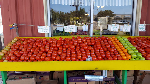 Produce Market «Marketplace Produce», reviews and photos, 11403 Seminole Blvd, Largo, FL 33778, USA