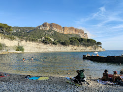 Plage du Corton'in fotoğrafı küçük koy ile birlikte
