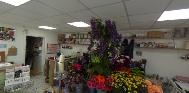 Reviews of The Flower Shed in Cardiff - Florist