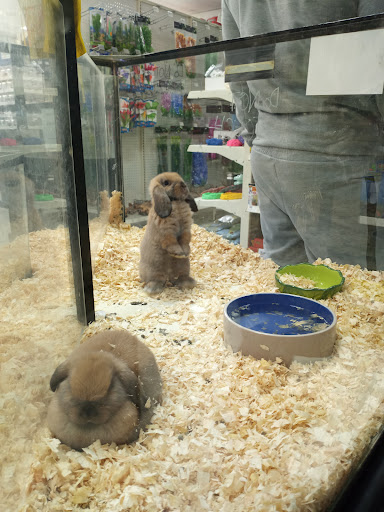 Pet Store «Inland Reef Pet Store», reviews and photos, 817 Cross Lanes Dr, Cross Lanes, WV 25313, USA