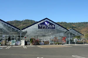 Young's Garden image