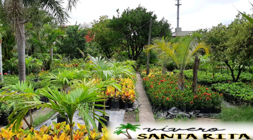 Vivero Santa Rita