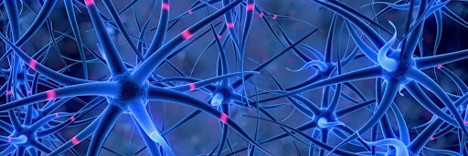 Gray Matters, 330 California Ave, Palo Alto, CA 94301, USA, 