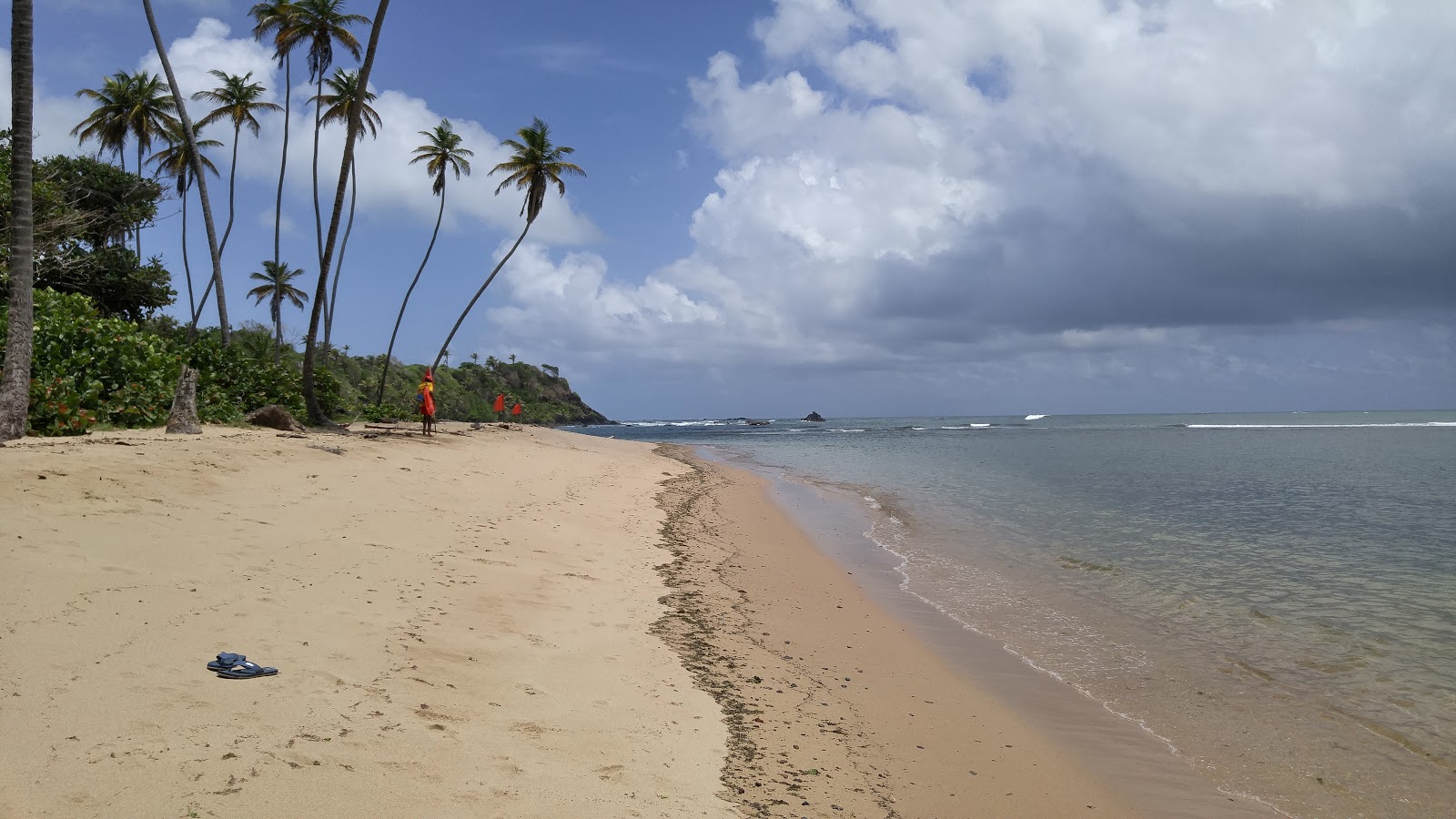 Foto von Toco beach mit blaues wasser Oberfläche