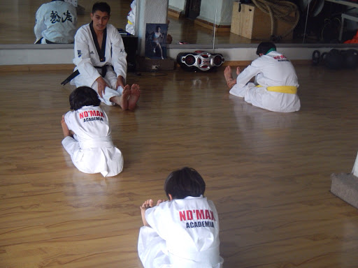 Taekwondo en Queretaro Academia NDMAX