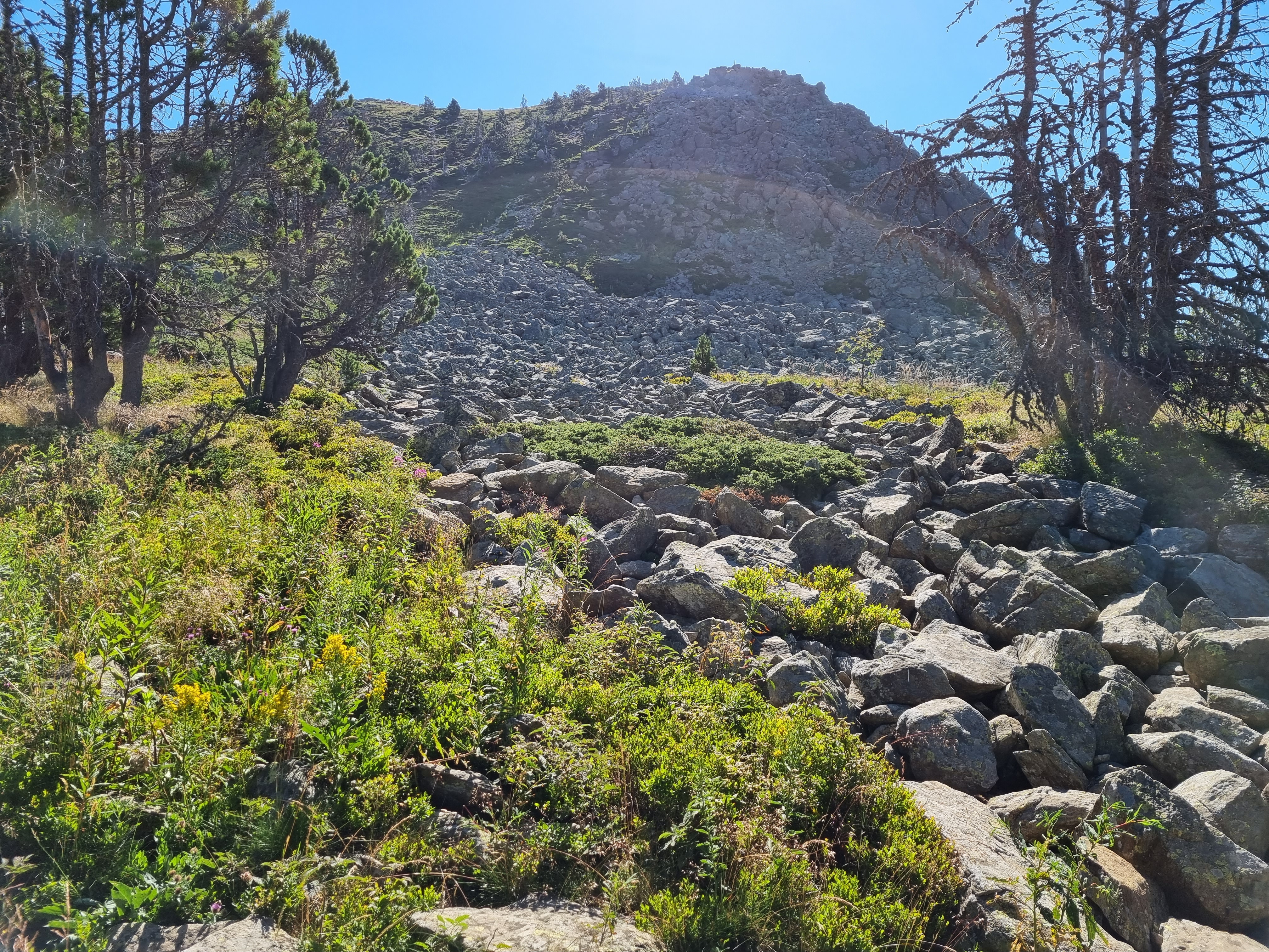 Photo n° 18 de l'avis de LD.R fait le 17/07/2022 à 16:33
