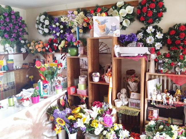 Értékelések erről a helyről: Zsóka Virág és Ajándékbolt, Nádudvar - Virágárus